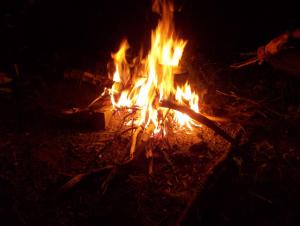 DSCN6752.JPG