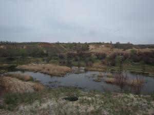 IMG_3950.JPG