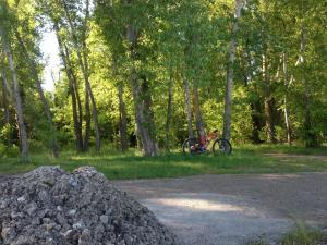 IMG_3639.JPG