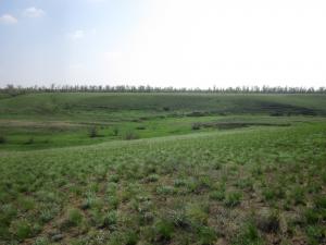 IMG_0012.JPG