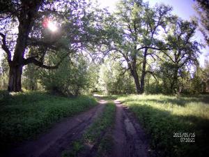 FILE0024.JPG