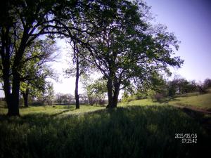 FILE0031.JPG