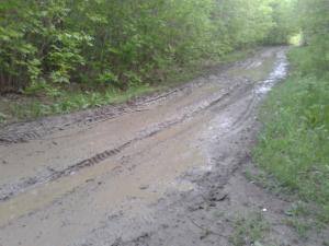 20150513-192134.jpg