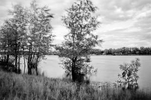 DSC_0887.jpg