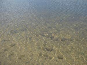 IMG_2730.JPG