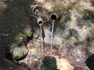 IMG_2763.JPG
