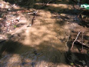 IMG_2761.JPG