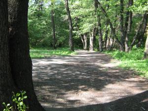 IMG_2758.JPG