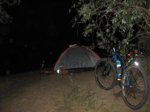 IMG_2780.JPG