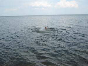 IMG_2744.JPG