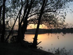 IMG_2790.JPG