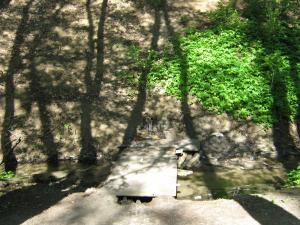 IMG_2760.JPG