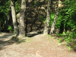 IMG_2759.JPG