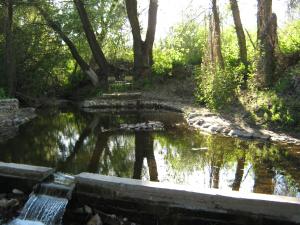 IMG_2770.JPG