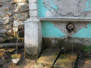 IMG_2769.JPG