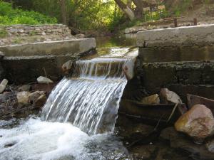IMG_2771.JPG