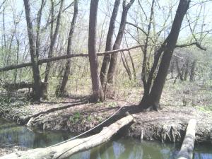 IMG_20150426_114950.jpg
