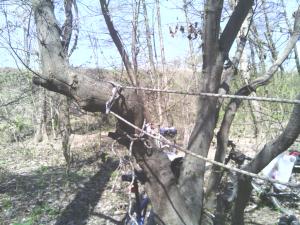 IMG_20150426_115453.jpg