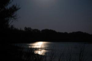 20150503_205826.jpg
