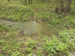 IMG_20150508_113305.jpg