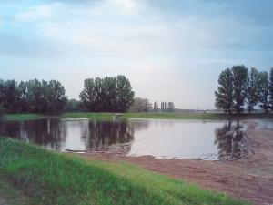 03-чеки-заливают.jpg