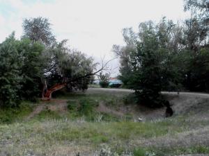 Бурковка (сушь).jpg
