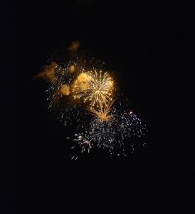 DSC_1575.JPG