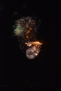 DSC_1581.JPG