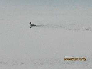 IMG_0260.JPG