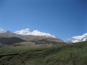 IMG_8977.JPG
