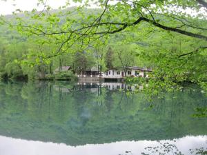 IMG_9248.JPG