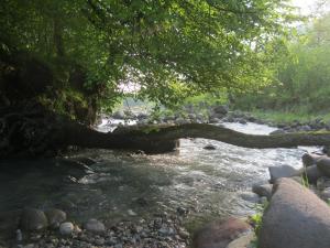 IMG_9058.JPG