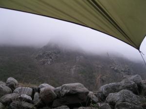 IMG_8939.JPG
