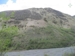 IMG_8797.JPG