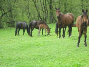 IMG_9130.JPG
