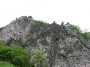 IMG_8725.JPG