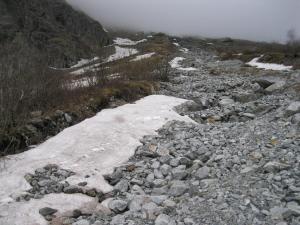 IMG_8925.JPG