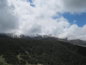 IMG_8822.JPG