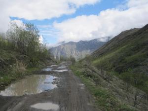 IMG_8790.JPG