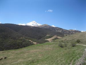 IMG_8984.JPG