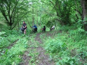 IMG_9039.JPG