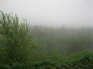 IMG_9088.JPG