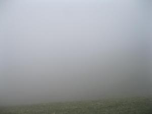 IMG_9176.JPG