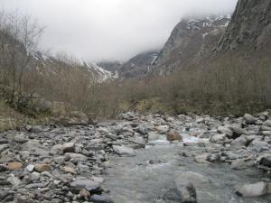 IMG_8912.JPG