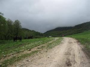 IMG_9124.JPG
