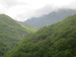IMG_9210.JPG