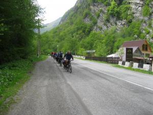 IMG_9017.JPG