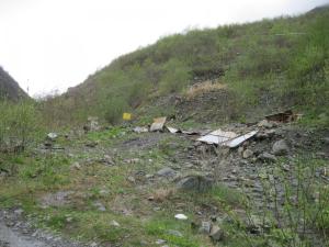 IMG_8779.JPG