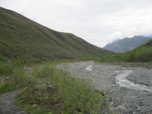 IMG_8785.JPG
