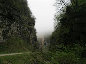 IMG_9146.JPG